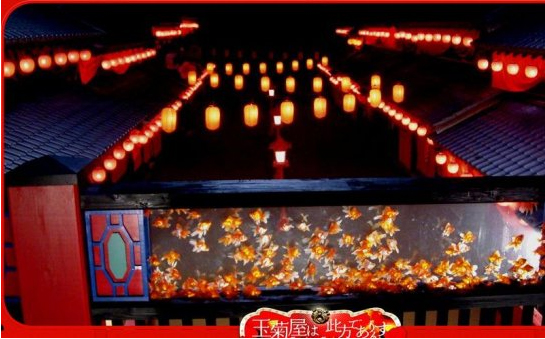 <em>恶女</em>花魁:红艳浮世绘-和风家专栏:蓝色电影梦-